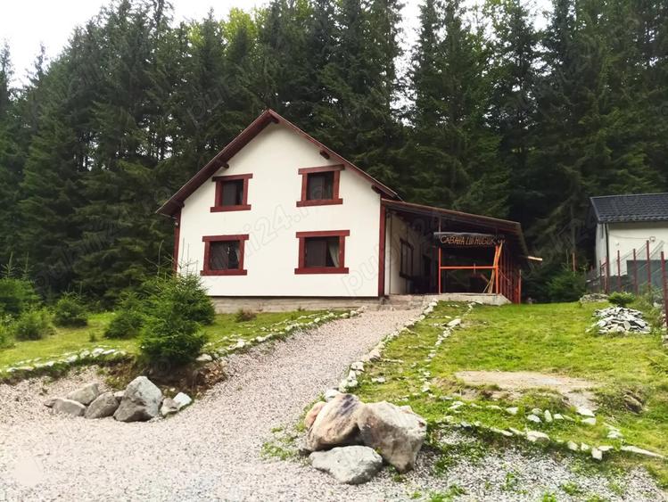 Vand casa de vacan?a pe Transrarau in Pojorata - 2