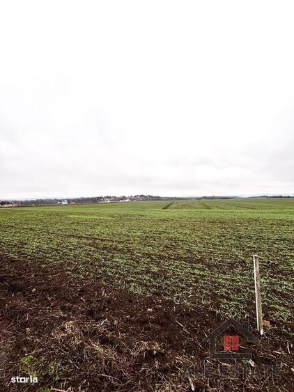 Teren extravilan de vanzare, suprafata 1860 mp, Baile Sarate- Turda - 1