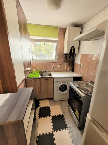 Casa pet friendly in Plopilor - 4