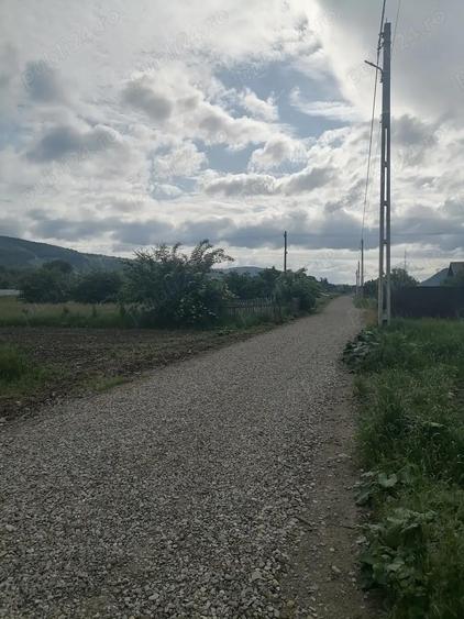 Teren 3000 mp intravilan Viisoara - 3