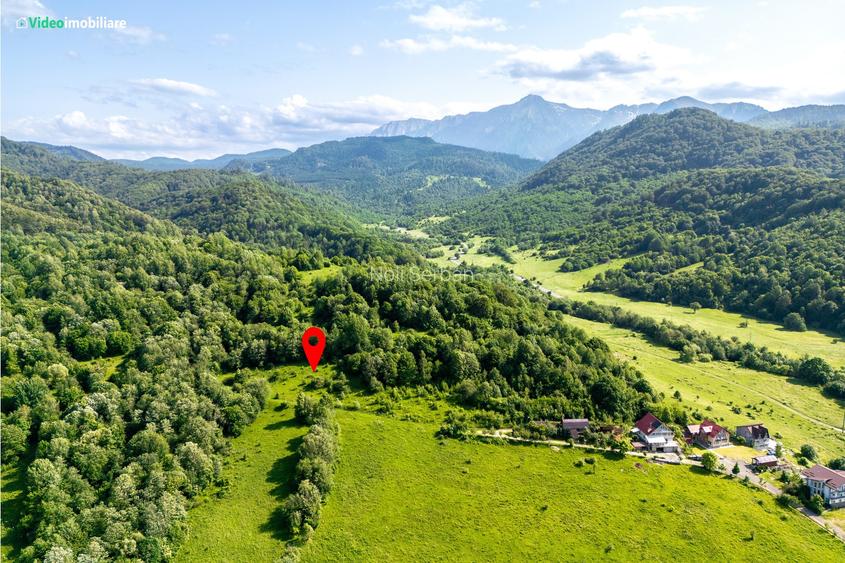 Teren cu vedere superba spre Cheile Rasnoavei, 8800 mp, la marginea pădurii Teren cu vedere superba spre Cheile Rasnoavei, 8800 mp, la marginea pădurii
