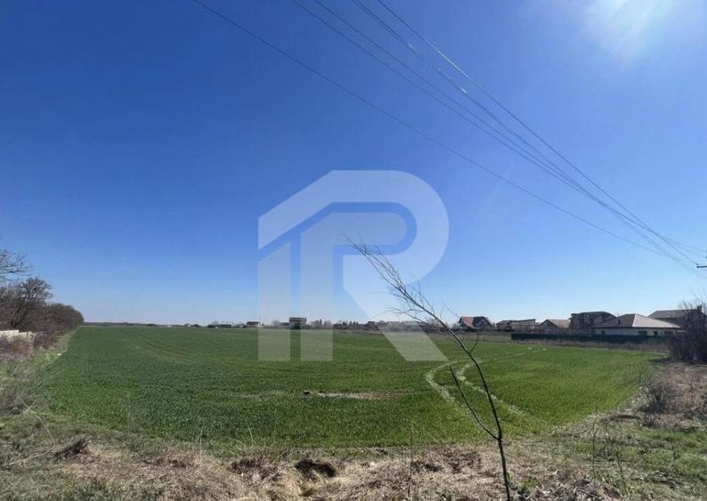 Gruiu_Lipia_Teren Intravilan langa padure - 4