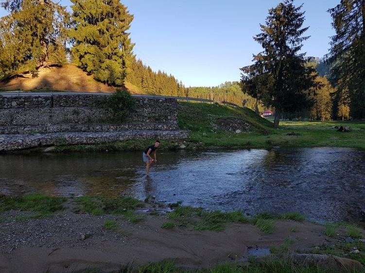 teren de vanzare la munte pentru  cabana - 1