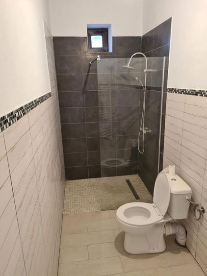 Inchiriez casa in Arpasu de jos - 4