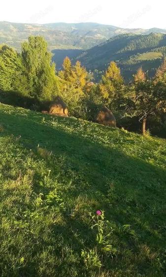 Vand casa 6 cam.,teren 1ha Apuseni-Matisesti, zona montana deosebita, drum turistic Trans Ursoaia - 3