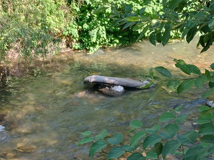 Apartament de vanzare la munte ( Azuga ) - 1