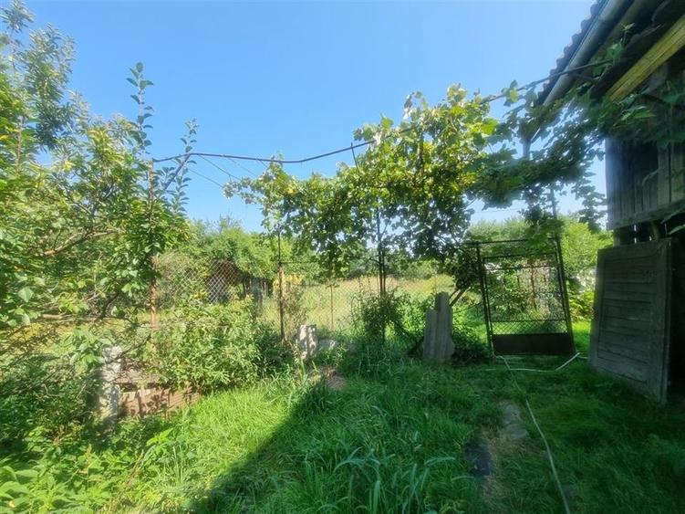 CASA DE VANZARE IN SERCAITA - 23