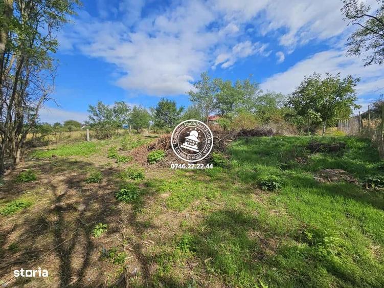 Teren intravilan 904 mp, langa padure - Aroneanu , Iasi - 3