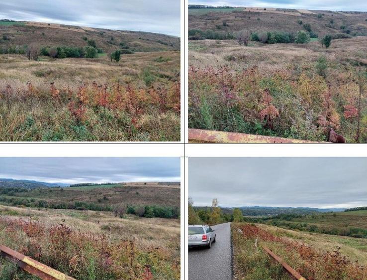 Teren extravilan pasune Ardeoani, ID: R2404618 - 15