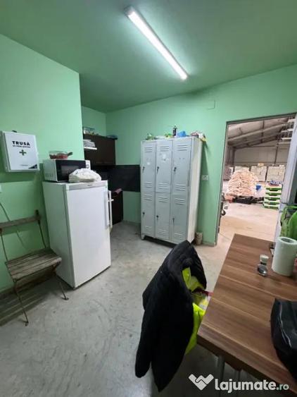 Spatiu comercial 280 mp + 700 mp curte, Filiasi - 10