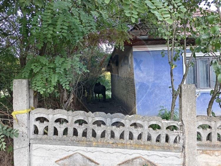 5.000 mp intravilan in Rascruci - aproape de Cluj si Parcul Industrial - 6