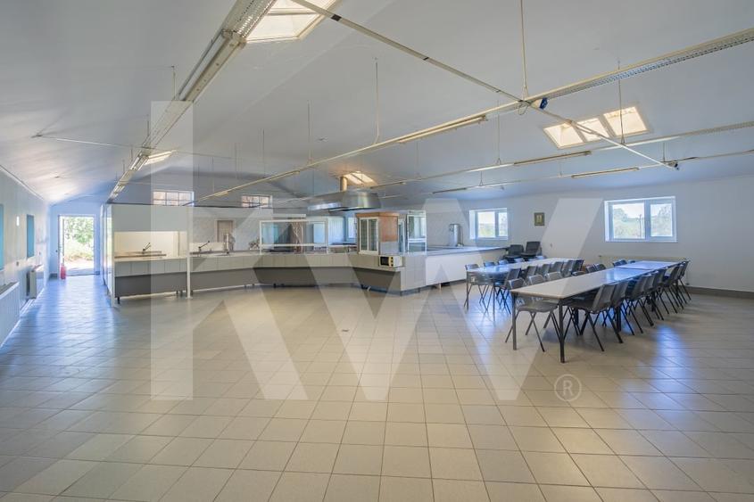 Proprietate industriala cu hale moderne, teren generos si acces Autostrada A1 - 3