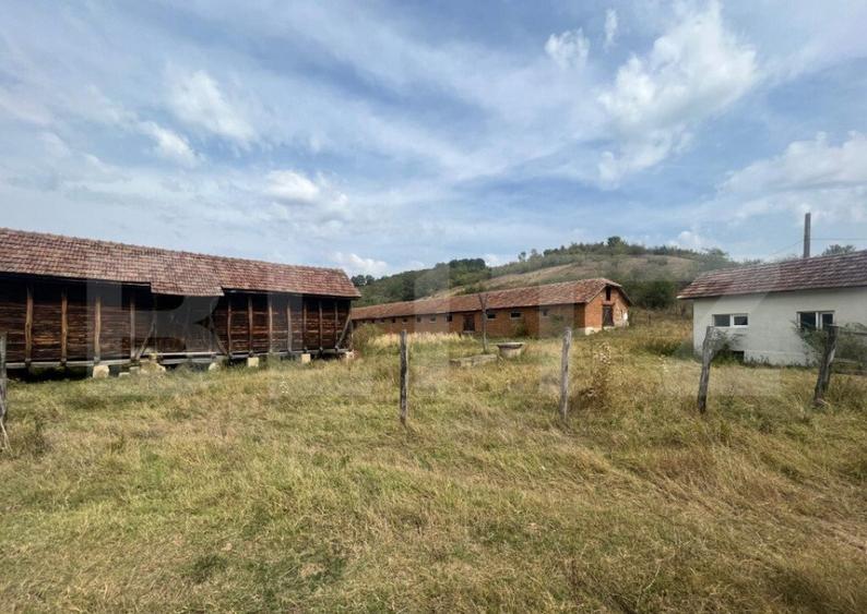 Ferma cu 3000 mp de teren si o constructie de 580 mp - 3