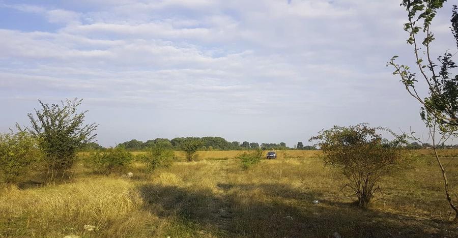 Teren intravilan Ciorogarla, 500 mp, deschidere 20 ml - 4