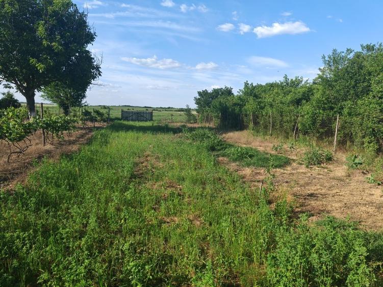 VANZARE CASA INDIVIDUALA LA CHEIE - 13