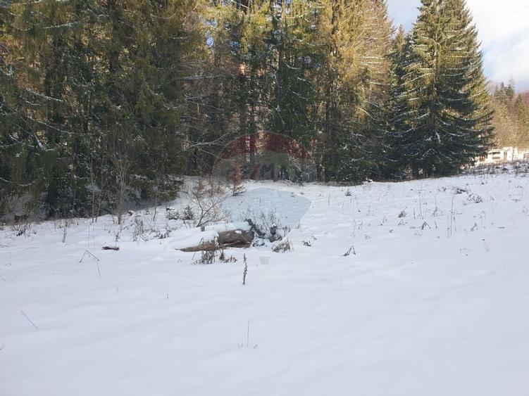 Oportunitate de investitie ! Teren intravilan, 19086 mp, Poiana Brasov - 10