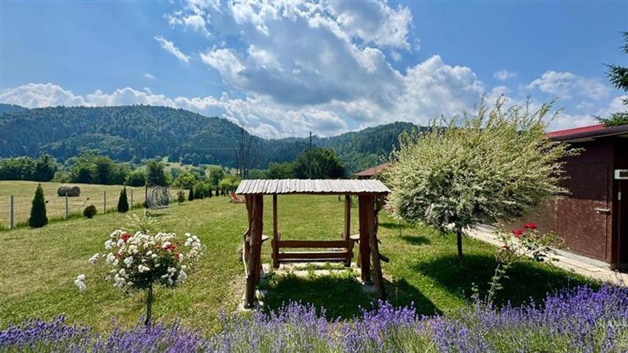 Refugiu pretios:jacuzzi, lemn masiv,2.000 mp teren,4 dormitoare, cuptor, investi - 20