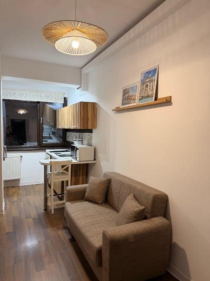 Garsoniera zona premium Baneasa, Parc Herastrau - 1