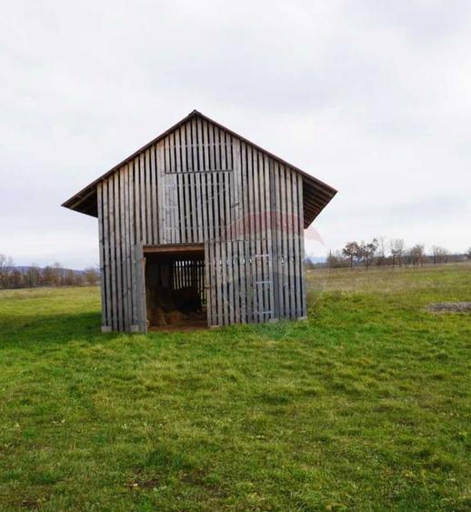 Vand Teren + Ferma+ Balta de peste in Comuna Sapanta judetul Maramures - 2