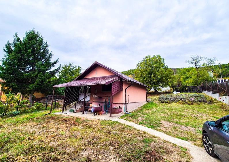 Casa , teren intravilan Valea Mare Stefanesti Arges