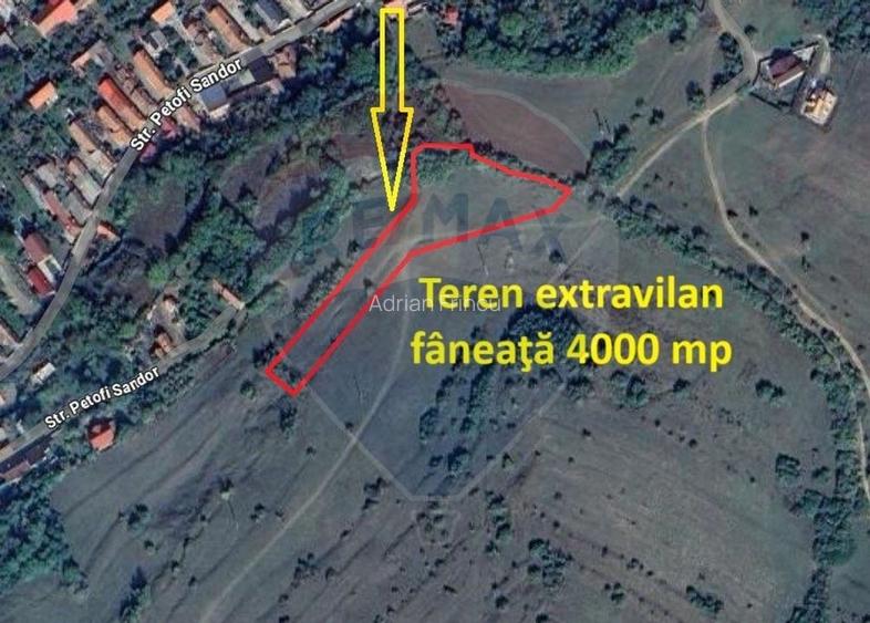 Teren extravilan, faneata, 4000 mp, Tarlungeni