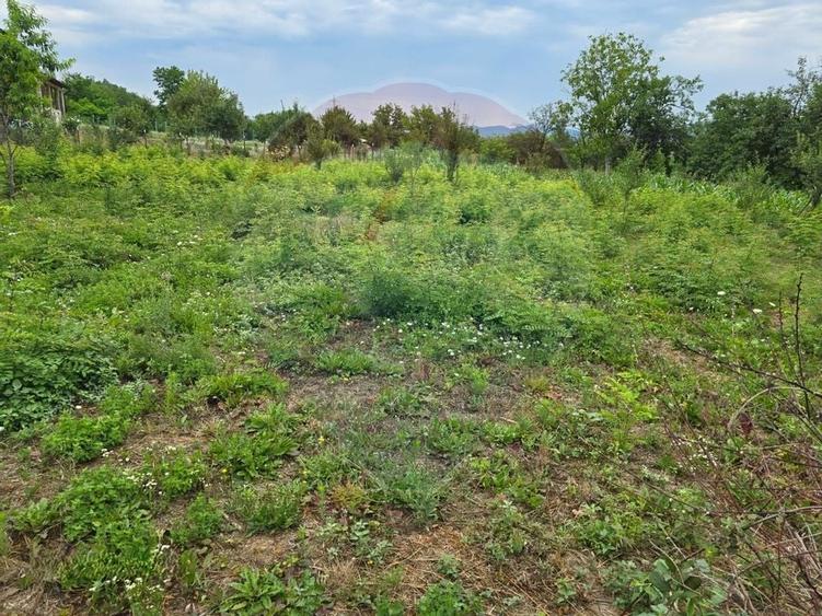 Comision 0! Casa din inima Subcarpatilor -- comuna Cislau, teren 5000mp - 21