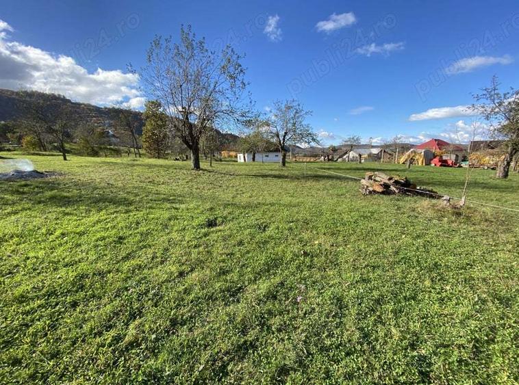 Vand casa si teren 10000mp - 2