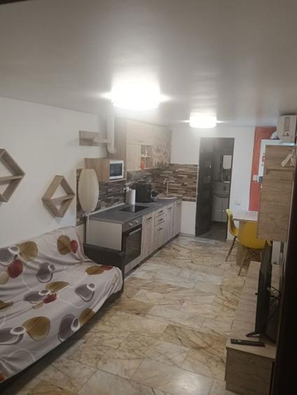 Inchiriez casa cartier islaz - 3