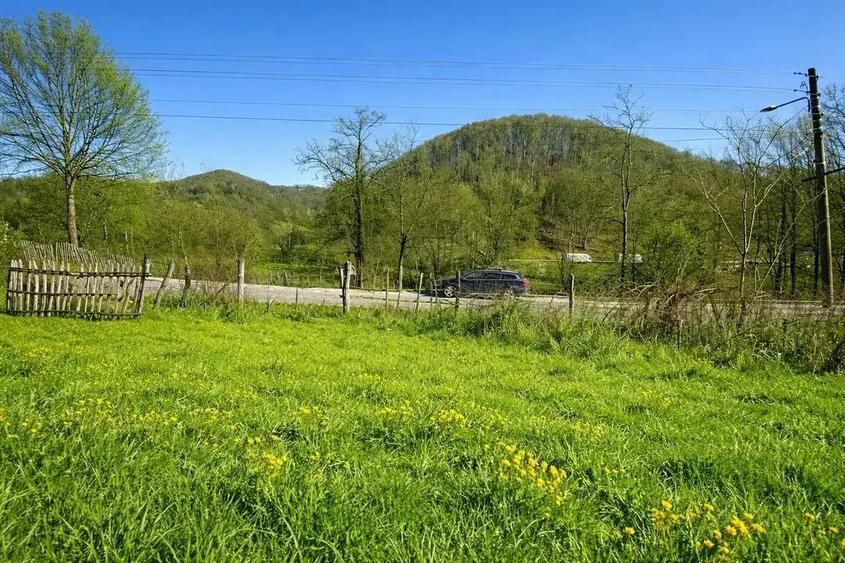 TEREN DE VANZARE -DEALURILE SULTANULUI - 2