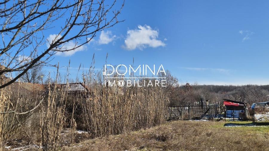 Oportunitate teren 6.504 mp – Curtisoara, la 11 km distanta de Targu Jiu - 5