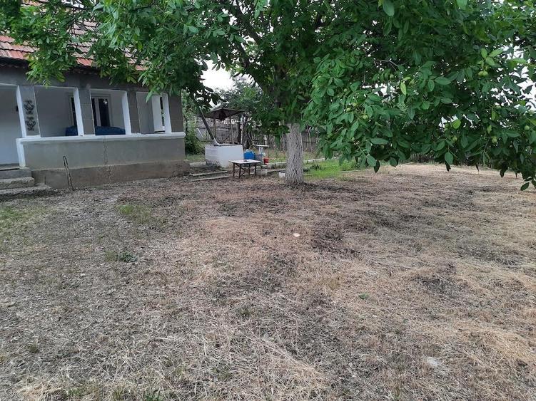 Casa si teren de vanzare Terchesti Vrancea - 4
