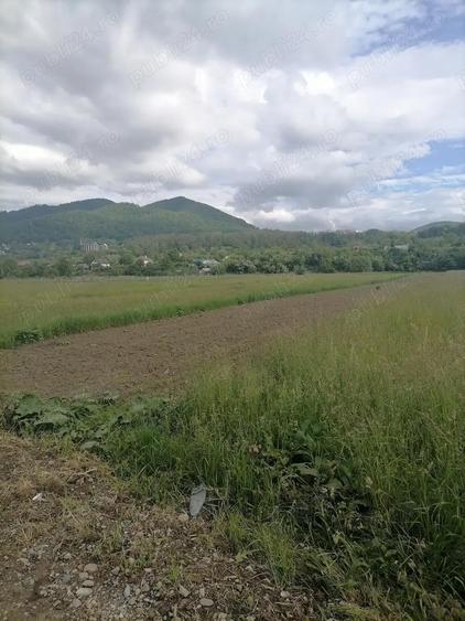 Teren 3000 mp intravilan Viisoara - 6