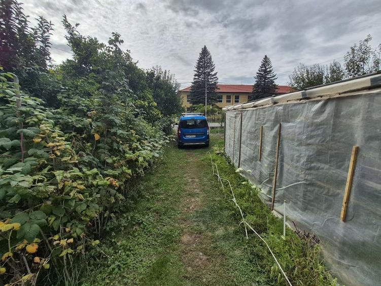 Vila 4 camere + teren 818 mp central Provita de Sus (lângă școală) - 33