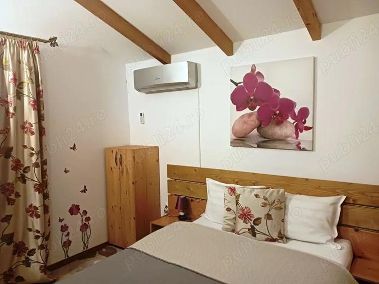 Case de vacan?a sau rezidentiale la ?ara, pe Transfagarasan . - 5