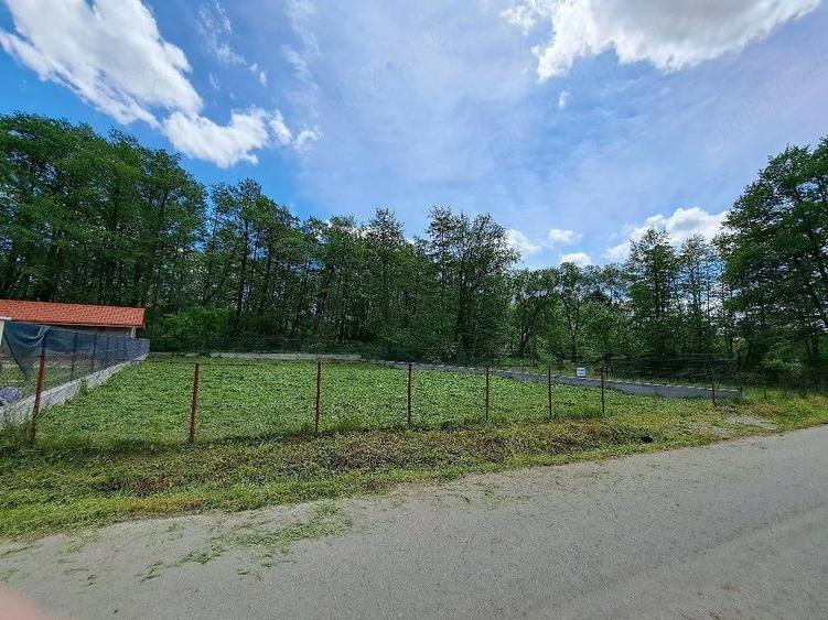 Teren intravilan de vanzare Polovragi Gorj - 700mp2 - 3