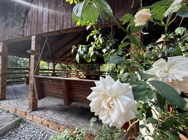 Cabana de vanzare ( afacere la cheie) - 9