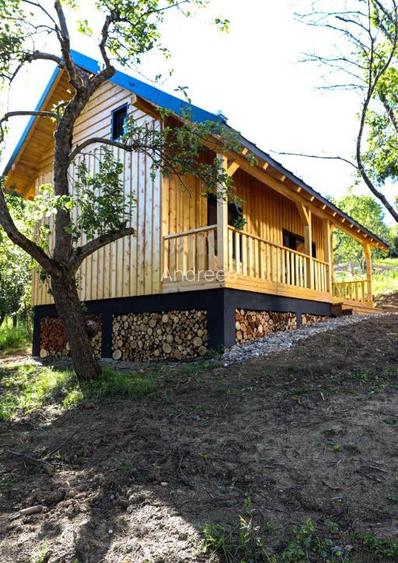 Cabana de vis in Nucsoara - Arges - 69.000 Euro! Cabana de vis in Nucsoara - Arges - 69.000 Euro!