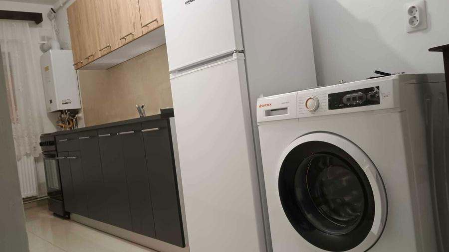 Inchiriez garsoniera - Vasile Aaron - 5