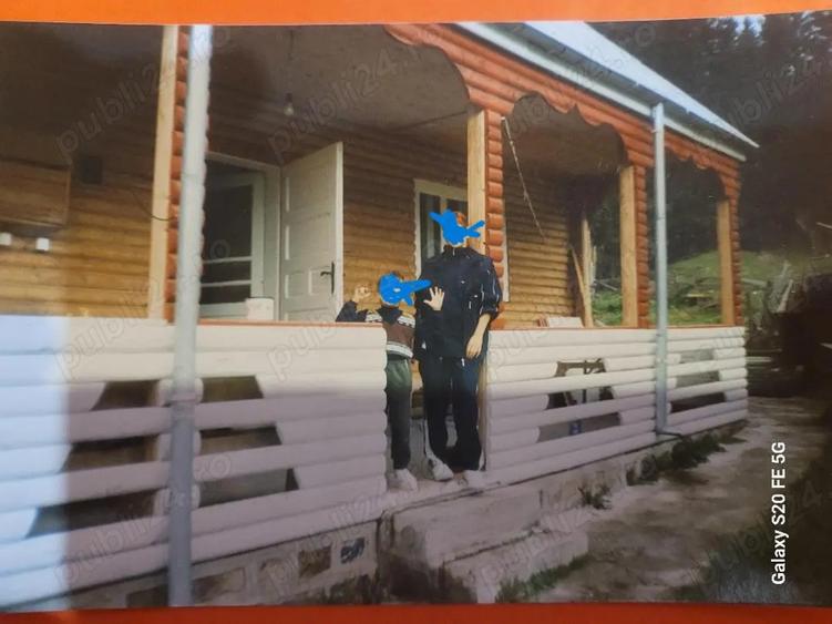 Lepsa Vrancea ,zona retrasa linistita si sigura,cabana si teren de vanzare - 9