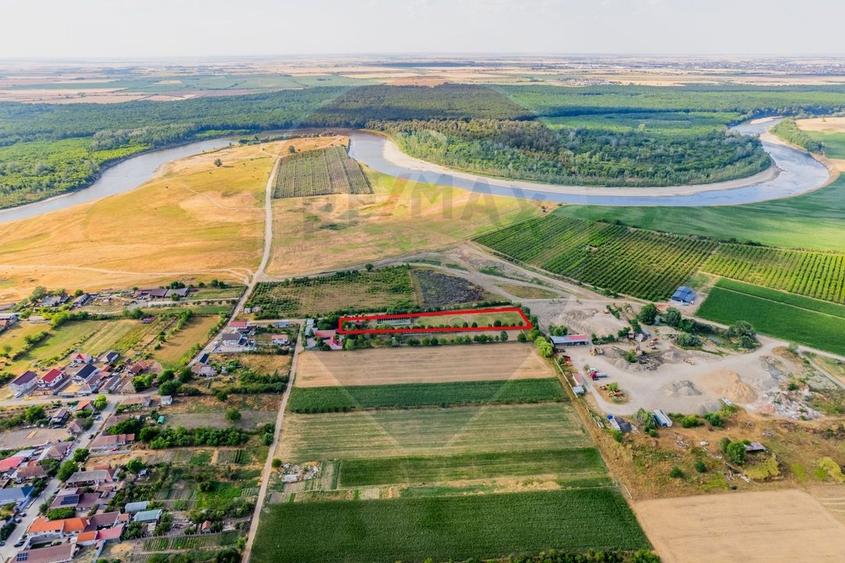 Ferma de cai andaluzi de vanzare - Zadareni - 1