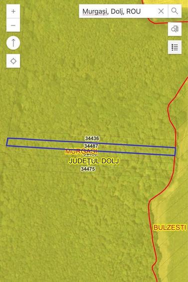 Vand padure Murgasi, jud Dolj - 1