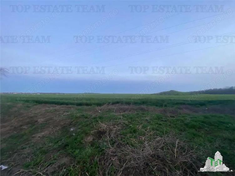 Teren intravilan 15000 mp Costinesti, Constanta - 3