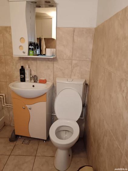 Casa la curte de vanzare - 5