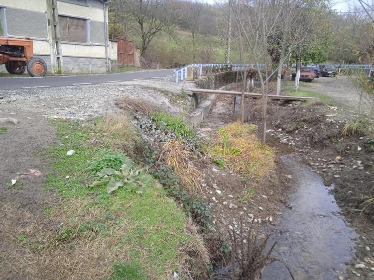 Casa de vanzare in Tincova judetul Cara? Severin. La distan?e egale intre Caransebe? ?i Lugoj. - 7