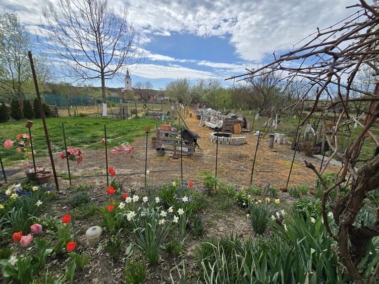 Casa renovata, cu 2924 mp teren. Front stradal 38 m. Garaj 2 masini. - 1