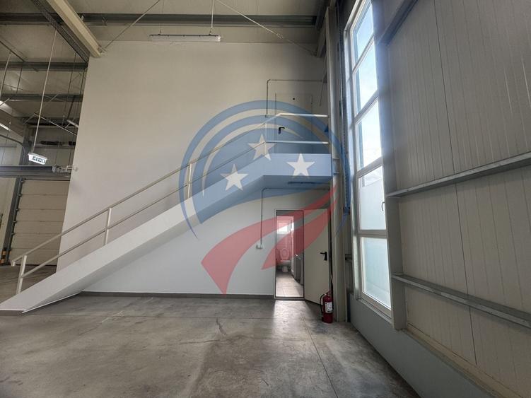 Hala in zona FORD 300-600 mp - 3