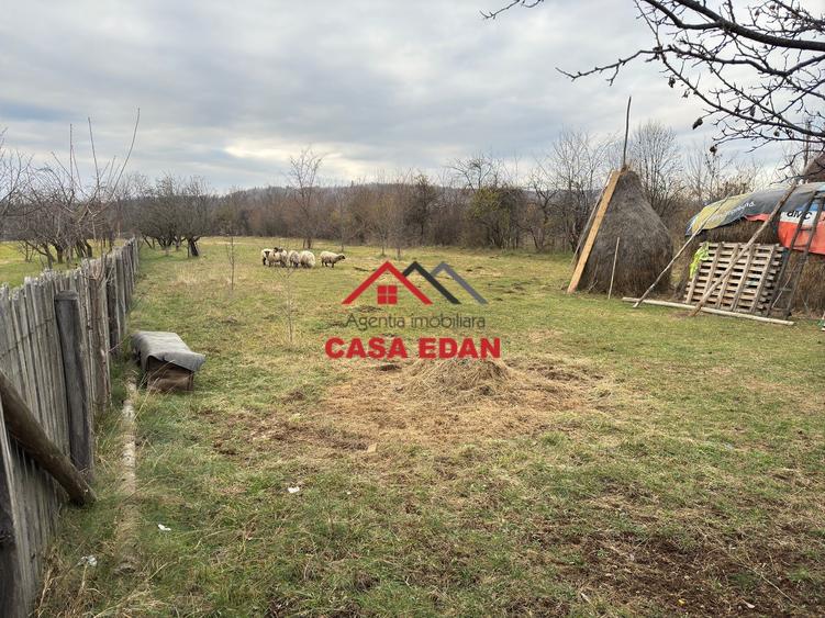 Teren intravilan in Brebu--2080mp--22e - 5