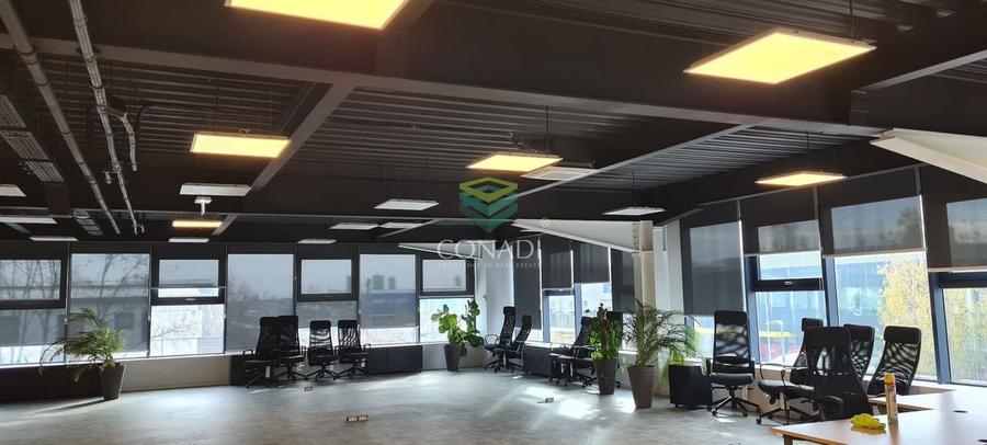 MOGOSOAIA CENTURA |READY TO MOVE IN I HALA depozitare si birouri - 3