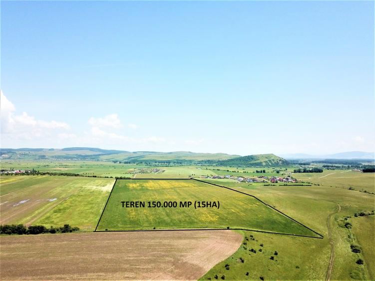 Teren Bod - ideal dezvoltare cartier rezidential - 8