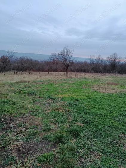 Casa de vanzare cu teren generos - 2